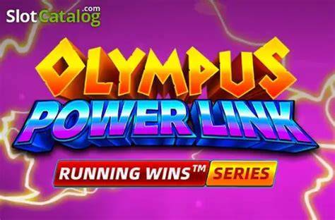 Olympus Power Link - Fugaso